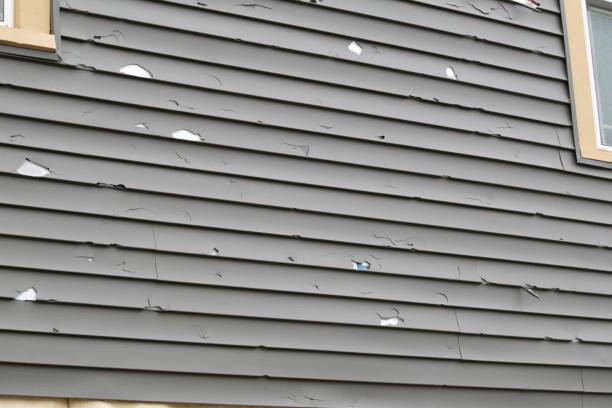 Best Siding Painting and Refinishing  in Clayton, OH